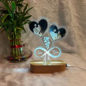 photo heart lamp